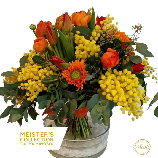 Meister´s Tulpen & Mimosen - Meister Group Frankfurt