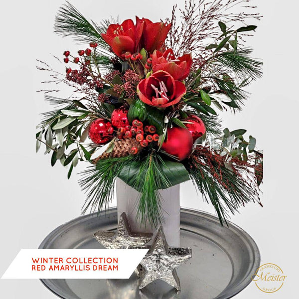 Roter Amaryllis-Blumenstrauß mit Tannenzweigen und Weihnachtskugeln – Winterkollektion