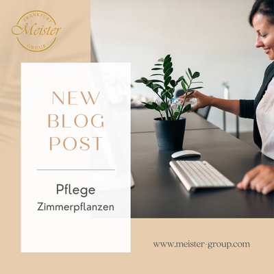 Pflanzenpflege leicht gemacht: Tipps für ein grüneres Zuhause