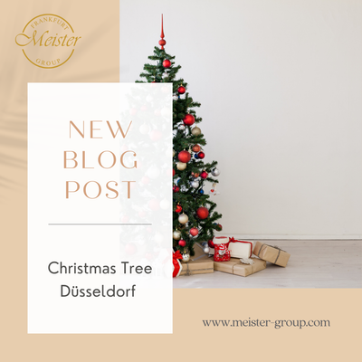 🎄 Weihnachtsbaum Düsseldorf – Ihr Rundum-Service für ein festliches Zuhause