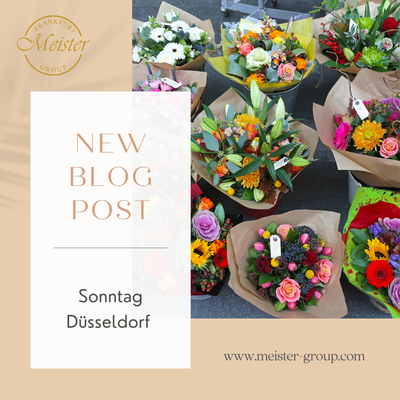 Blumen Sonntag Düsseldorf 🌸 | Blumen-Meister – Sonntags geöffnet