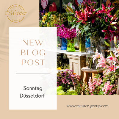 Blumenladen Düsseldorf Sonntag offen | Blumen Meister liefert auch sonntags!