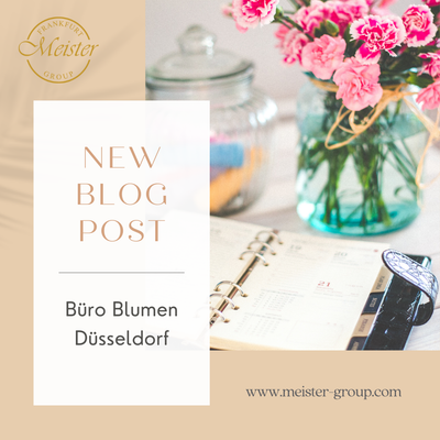 Blumen fürs Büro in Düsseldorf