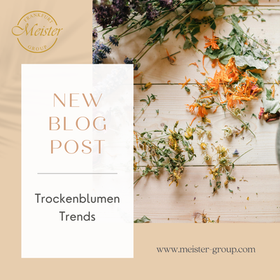 🌾 Trockenblumen-Deko: Der Mega-Trend erklärt von Blumen Meister Düsseldorf