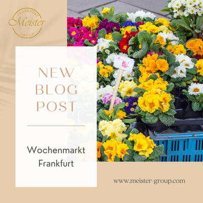 🌸 Blumenmärkte & Events – Wo Blumenfans in Frankfurt, Kronberg & Umgebung hingehen sollten