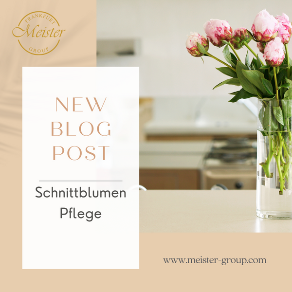 Schnittblumen Pflege – frische rosa Pfingstrosen im Glas auf Küchenarbeitsplatte