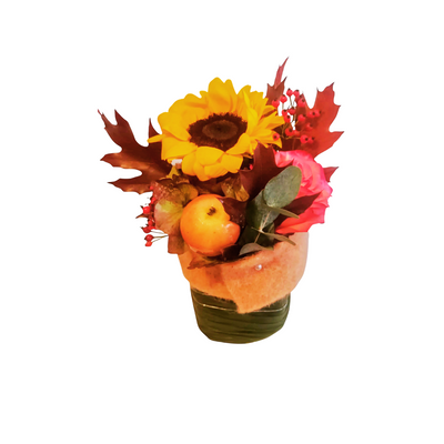 Meister‘s Herbst Sushi