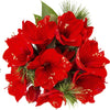 Amaryllis Bouquet
