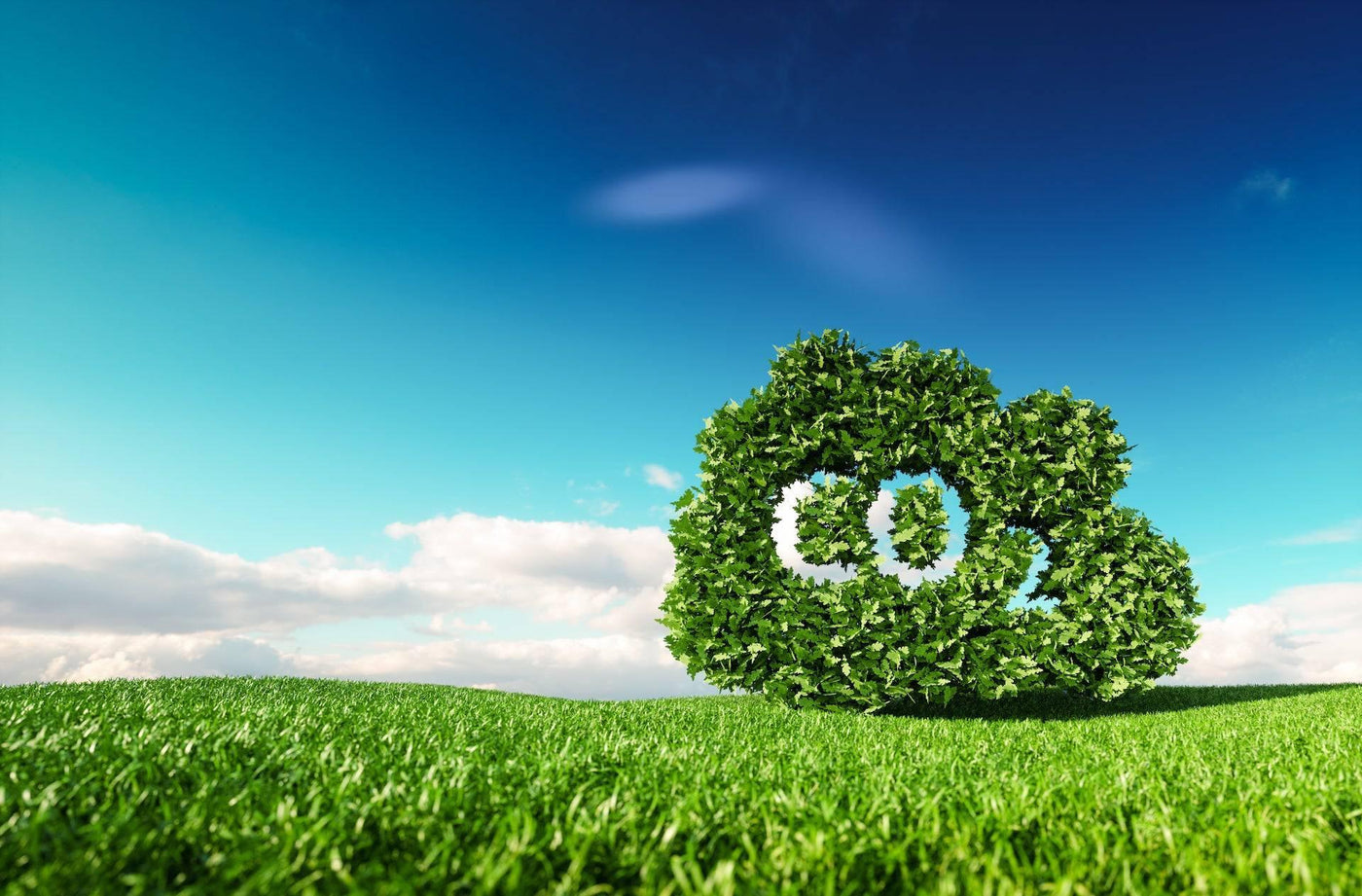 CO₂-neutraler Versand - Meister Group Frankfurt