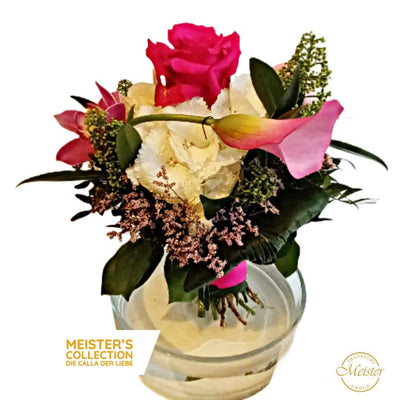 Die Calla der Liebe - Meister Group Frankfurt
