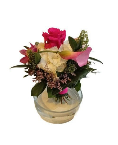 Die Calla der Liebe - Meister Group Frankfurt