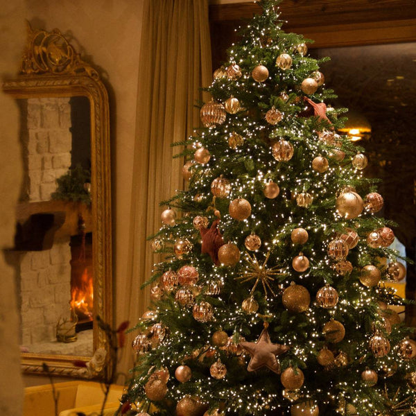 Geschmückter Weihnachtsbaum Düsseldorf Pempelfort