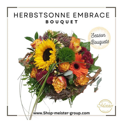 Herbstsonne Embrace - Meister Group Frankfurt