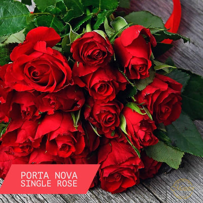Langstieliger Rosen Bouquet - Meister Group Frankfurt