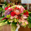 Meister Protea Strauss