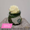 Meister‘s Single Rose Sushi