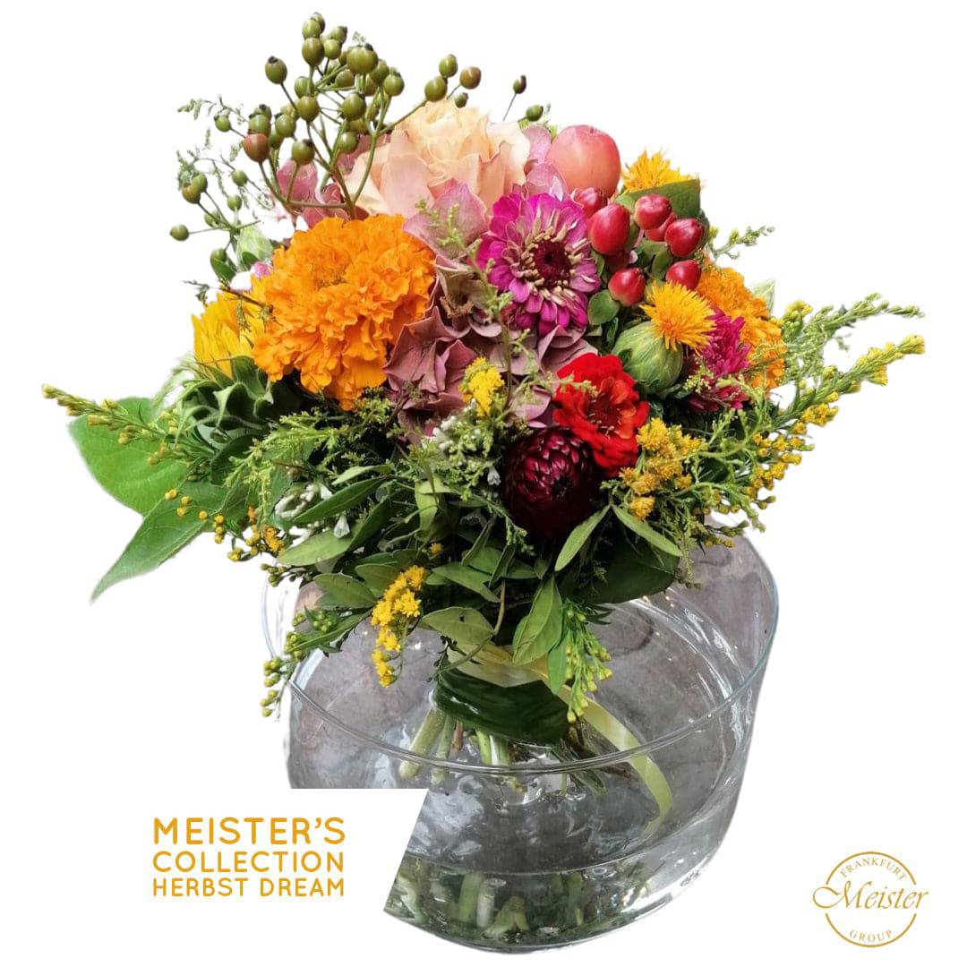 Meister's Sommer/Herbst Dreams - Meister Group Frankfurt