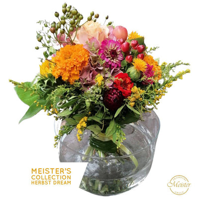 Meister's Sommer/Herbst Dreams - Meister Group Frankfurt