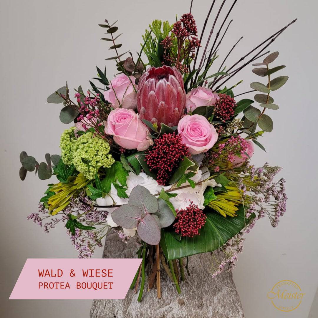 Meister‘s Wald & Wiese Protea Traum - Meister Group Frankfurt