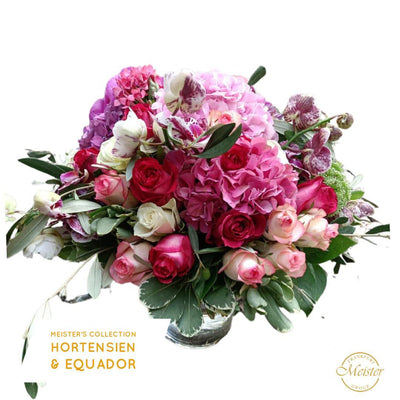 Meister´s Ecuador & Hortensien Traum - Meister Group Frankfurt