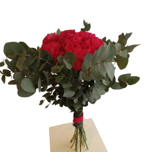 Roter Nelkenstrauß mit Eukalyptusblättern – frische Blumen zum Verschenken
