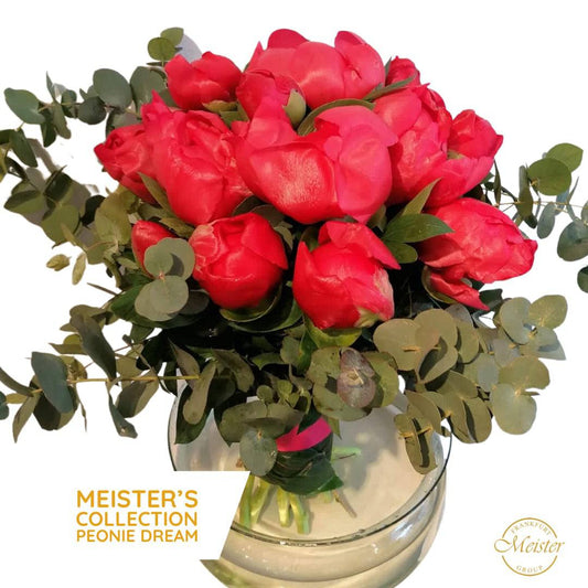 Meister´s Peony Dream - Meister Group Frankfurt