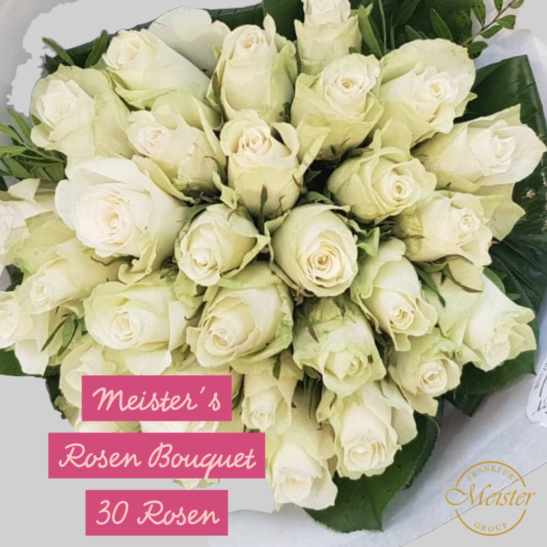 Meister´s Rosentraum - Meister Group Frankfurt
