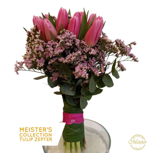 Meister´s Tulip Zepter - Meister Group Frankfurt