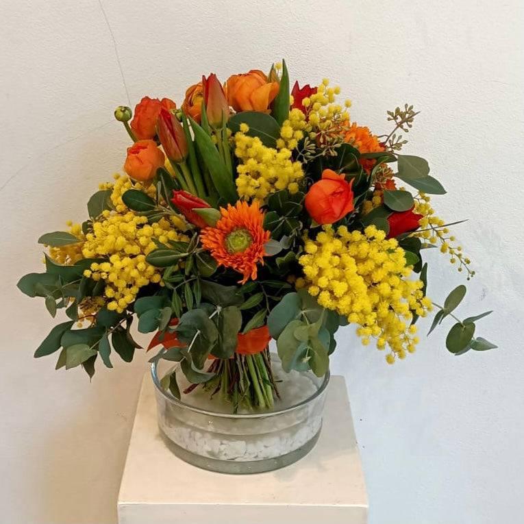 Meister´s Tulpen & Mimosen - Meister Group Frankfurt