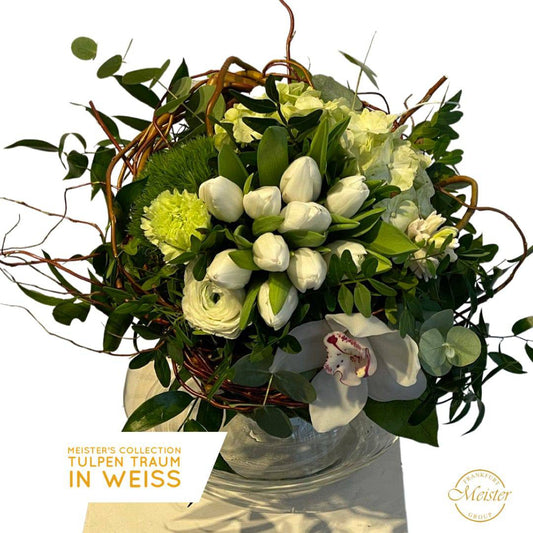 Meister´s Tulpen Traum in Weiss - Meister Group Frankfurt