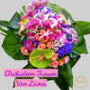 Orchideen Traum mit den Farben des Südens