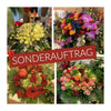 Sonderauftrag