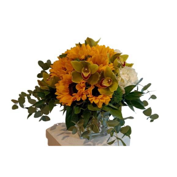 Sonnenblumen & Cymbidium Traum - Meister Group Frankfurt