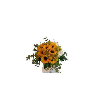Sonnenblumen & Cymbidium Traum - Meister Group Frankfurt