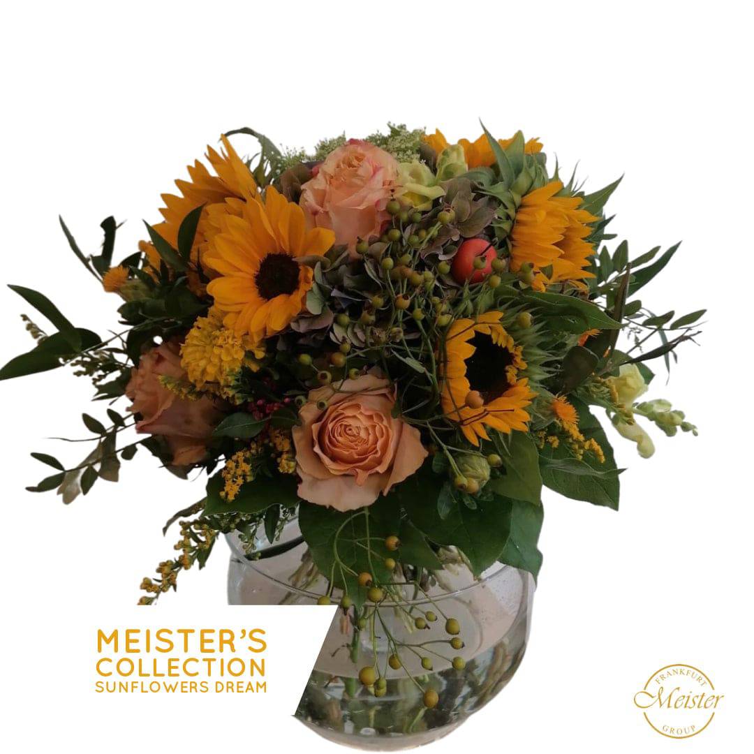 Sunflower Dreams - Meister Group Frankfurt
