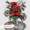 WInter Collection Amaryllis Dream