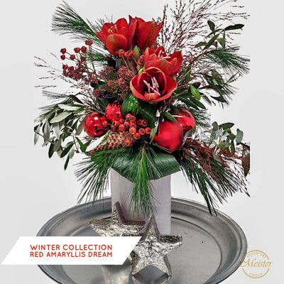 WInter Collection Amaryllis Dream - Meister Group Frankfurt