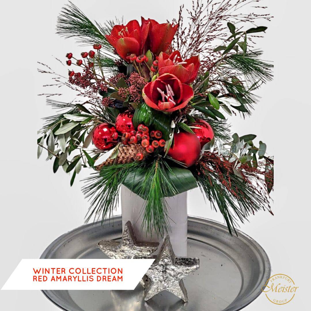 WInter Collection Amaryllis Dream - Meister Group Frankfurt