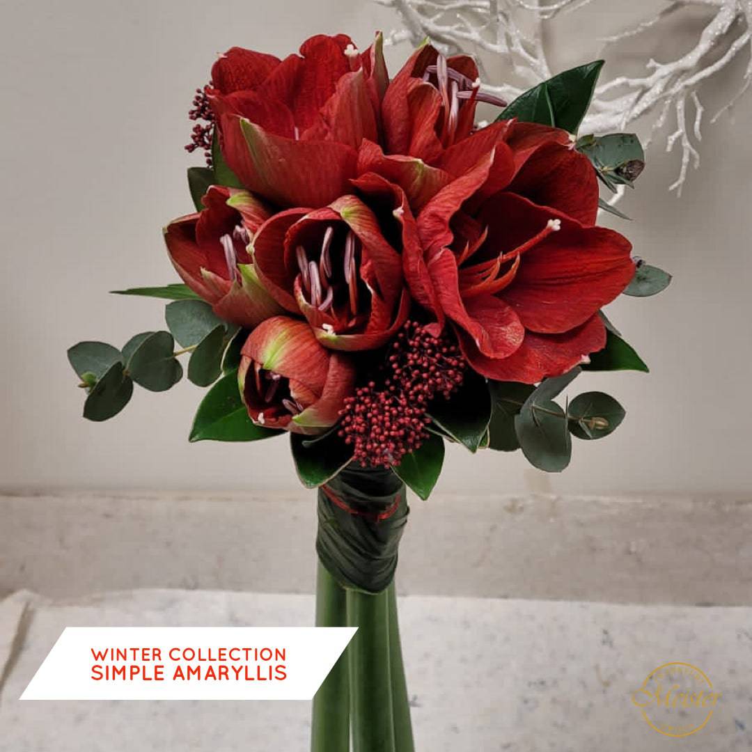 Winter Collection Simple Amaryllis - Meister Group Frankfurt