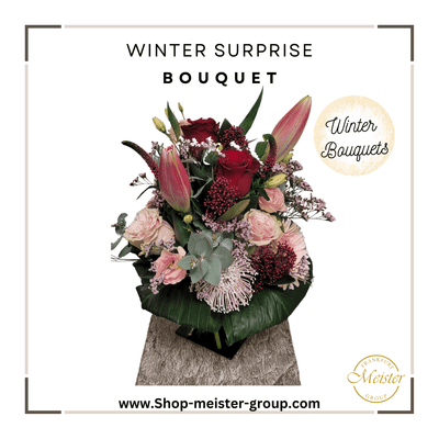 Winter Collection Winter Surprise - Meister Group Frankfurt