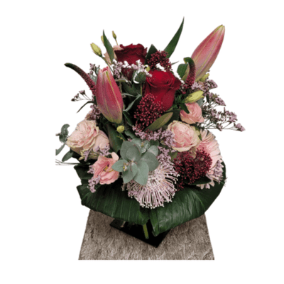 Winter Collection Winter Surprise - Meister Group Frankfurt